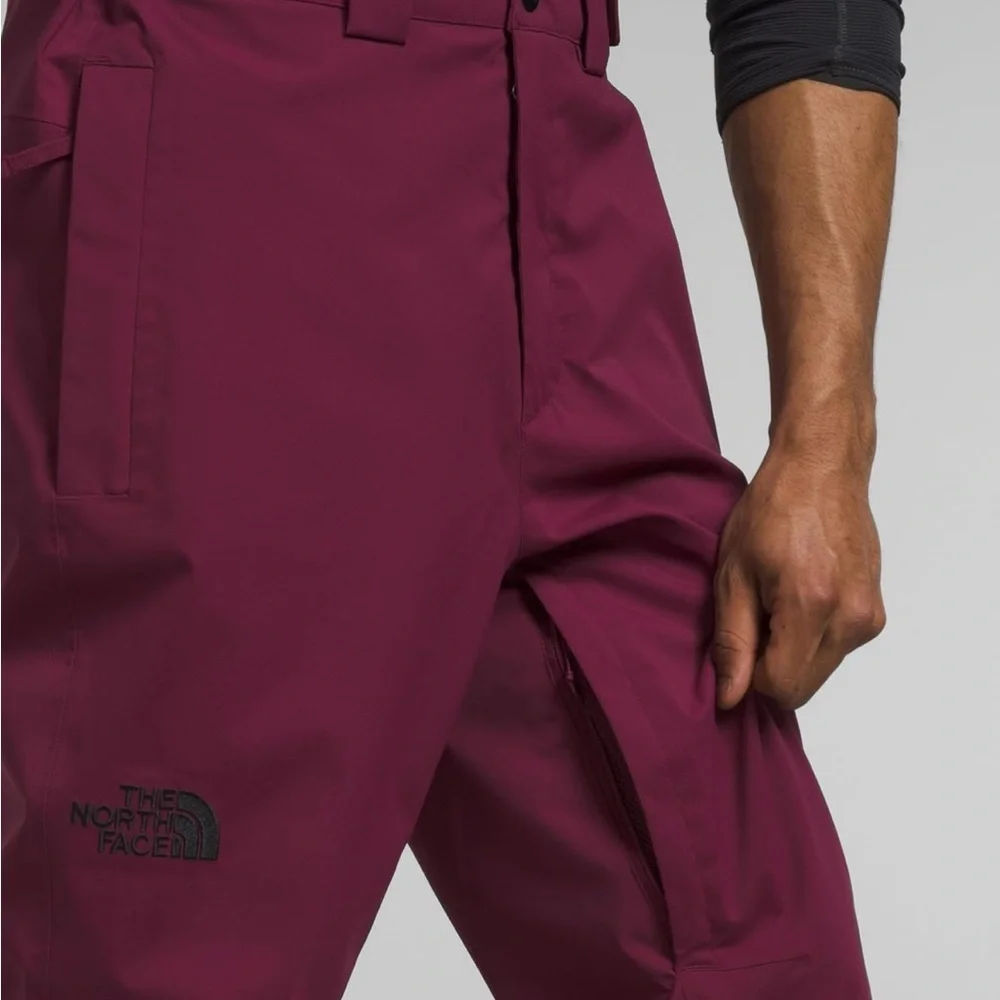 THE NORTH FACE Men's Freedom Stretch Pant, Boysenberry small/regular